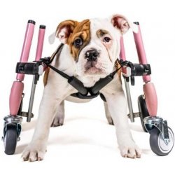 Walkinpets Invalidní vozík pro psa S Přední kola Růžový 8 11 kg 30 38 cm