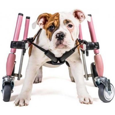 Walkinpets Invalidní vozík pro psa S Přední kola Modrý 5 8 kg 17 20 cm – Zboží Mobilmania