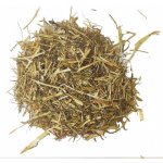 Aniland Zelený oves 0,1 kg – Sleviste.cz