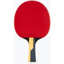 Butterfly Timo Boll Carbon