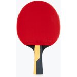 Butterfly Timo Boll Carbon – Hledejceny.cz