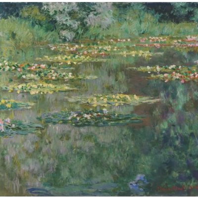 Grafika Monet : Le Bassin aux Nymphéas 1000 dílků – Zboží Mobilmania