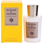 Acqua di Parma Colonia Intensa balzám po holení 100 ml – Zbozi.Blesk.cz