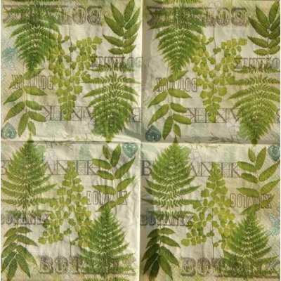 Paper Designe ubrousky Botanic garden 33x33cm – Zbozi.Blesk.cz