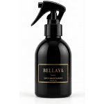 Bellaya Gris Montaigne – parfém na textil, do interiéru a auta 250 ml – Hledejceny.cz