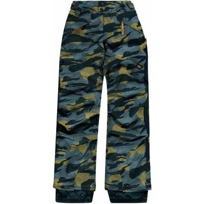 O'Neill PB Aop pants 0P3074 6900 – Zbozi.Blesk.cz