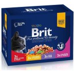 Brit Premium Cat kuře hovězí treska pstruh 1200 g – Sleviste.cz