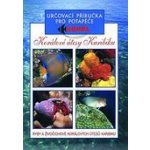 Korálové útesy určovací příručka pro potápěče - Elizabeth a Lawson Woodovi – Hledejceny.cz