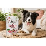 Brit Care Dog Crunchy Cracker Insects with Lamb enriched with Raspberries 200 g – Hledejceny.cz