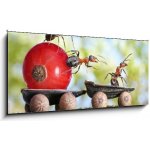 Skleněný obraz 1D panorama - 120 x 50 cm - ants deliver red currant with trailer of sunflower seeds mravenci dodávají červený rybíz s přívěsem slunečnicových semen – Zboží Mobilmania