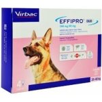 Effipro Duo Spot-on Dog L 20-40 kg 4 x 2,68 ml – Zboží Mobilmania