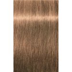 Schwarzkopf Igora Color 10 8-65 světlá blond čokoládová zlatá 60 ml – Hledejceny.cz