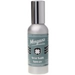Morgan's Sea Salt texturizer do vlasů 100 ml – Hledejceny.cz