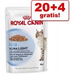 Royal Canin Hair & Skin Care v želé 24 x 85 g – Hledejceny.cz