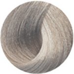 Black Sintesis barva na vlasy T1 Platinum Ash tónovací 100 ml – Hledejceny.cz