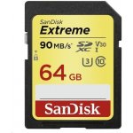 SanDisk SDHC Extreme 64 GB UHS-I U3 V30 SDSDXVE-064G-GNCIN – Zboží Mobilmania