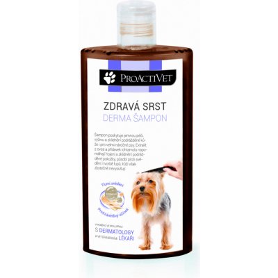 Proactivet Zdravá srst Derma 250 ml – Hledejceny.cz