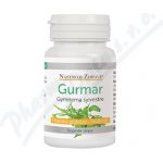 Nástroje Zdraví Gurmar-gymnema Sylvestre 60 kapslí – Hledejceny.cz