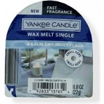 Yankee Candle A CALM & QUIET PLACE Vosk do aromalampy nový 2021 22g – Hledejceny.cz