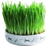 Trixie keramická miska na trávu pro kočky 15 x 4 cm – Sleviste.cz
