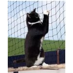 Karlie-Flamingo Síť ochranná do oken pro kočky nylonová černá 2 x 3 m – Zbozi.Blesk.cz