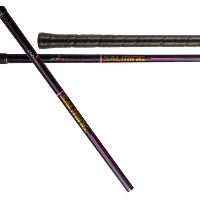 SALMING Q-Series Carbon Swift Shaft F29 – Hledejceny.cz