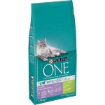 Purina ONE Bifensis Sensitive krůtí a rýže 9,75 kg – Hledejceny.cz