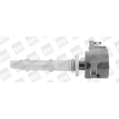 Zapalovací cívka BorgWarner (BERU) ZSE140 – Hledejceny.cz