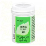 AKH Artemisia vulgaris 60 tablet – Hledejceny.cz