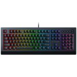 Razer Cynosa V2 RZ03-03400100-R3M1 – Hledejceny.cz