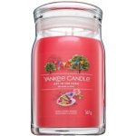 Yankee Candle Signature Art In The Park 567 g – Zboží Dáma