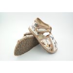 Rak 100015 Brouci – Hledejceny.cz