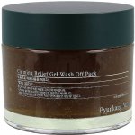 Pyunkang Yul Calming Pore Clear Wash Off Pack Hliněná maska 100 ml – Hledejceny.cz