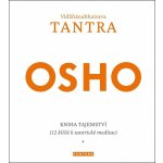 Vidžňánabhairava Tantra - Kniha tajemství, 112 klíčů k tantrické meditaci – Sleviste.cz