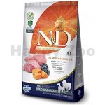 N&D Pumpkin Dog Adult Medium & Maxi Grain Free Lamb & Blueberry 12 kg – Zbozi.Blesk.cz