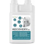 Dromy Recovery oil 1 l – Zbozi.Blesk.cz
