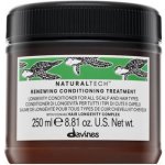 Davines NATURALTECH Renewing kondicionér proti stárnutí 250 ml – Zbozi.Blesk.cz