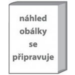 Angličtina nejen pro samouky – Hledejceny.cz