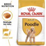 Royal Canin BHN Poodle Adult 15 kg