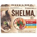Krmivo pro kočky Shelma Cat kuřecí hovězí losos a treska 12 x 85 g