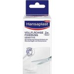 Beiersdorf Hansaplast celoplošná fixace 10 cm x 2 m 1 ks – Hledejceny.cz