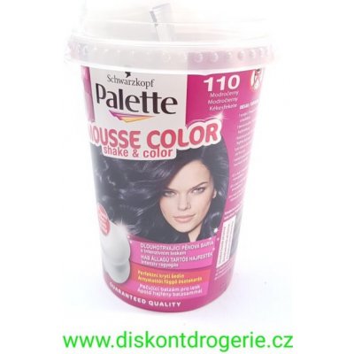 Pallete MOUSSE Color shake and Color barva na vlasy 110 modrOčernÝ – Sleviste.cz