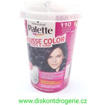 Pallete MOUSSE Color shake and Color barva na vlasy 110 modrOčernÝ