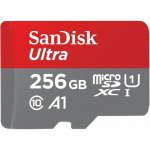 SanDisk microSDXC UHS-I U1 256 GB SDSQUAC-256G-GN6MA – Sleviste.cz