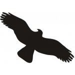 Traiva s.r.o Silueta dravce, proti narážení ptáků do skla - černá Verze: Samolepka 150 x 65 mm tl. 0.1 mm - Kód: 06790 – Hledejceny.cz