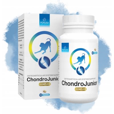 Pokusa ChondroLine ChondroJunior 120 tab. – Hledejceny.cz
