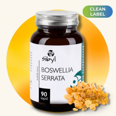 Sibyl Boswellia serrata 400 mg Pryskyřice kadidlovníku 90 kapslí – Zbozi.Blesk.cz