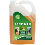 TRM Garlic Syrup 6 kg – Hledejceny.cz