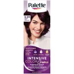 Pallete Intensive Color Creme Intenzivní fialová V5 – Zboží Dáma