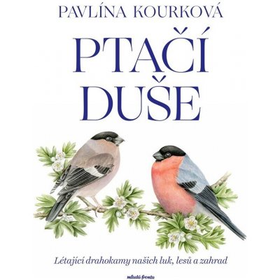 Ptačí duše - Pavlína Kourková – Sleviste.cz